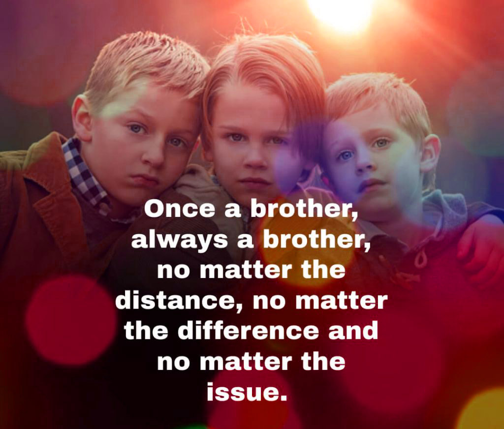 3 Brothers Quotes