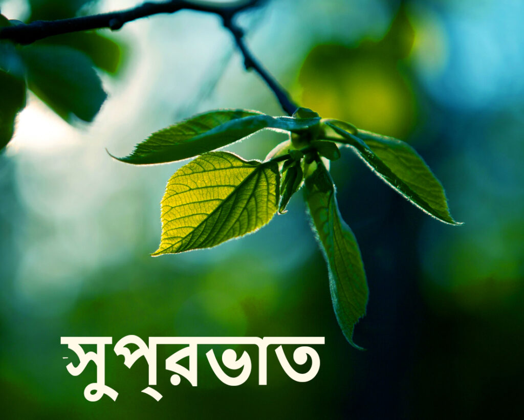 Bengali Good Morning