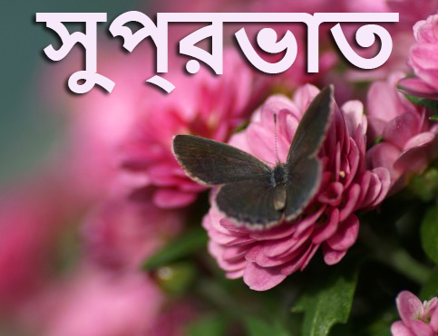 Bengali Good Morning Messages