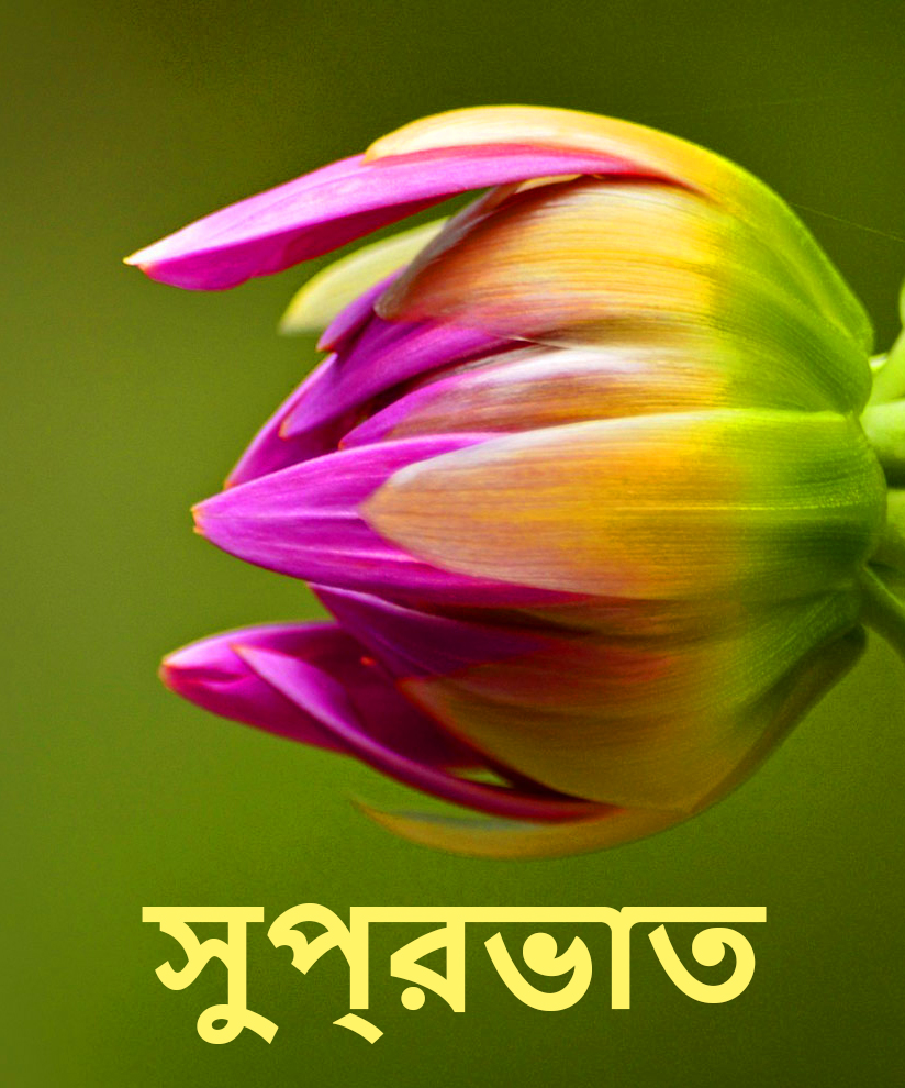 Bengali Good Morning SMS for Lover