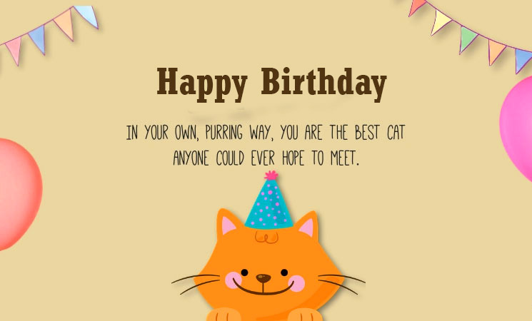 Best Animated Happy Birthday Cat Lover Pic