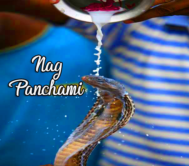 Best Happy Nag Panchami Photo