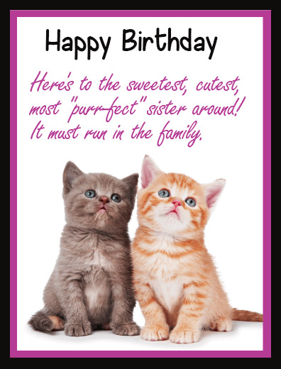 Best and Latest Happy Birthday Cat Message