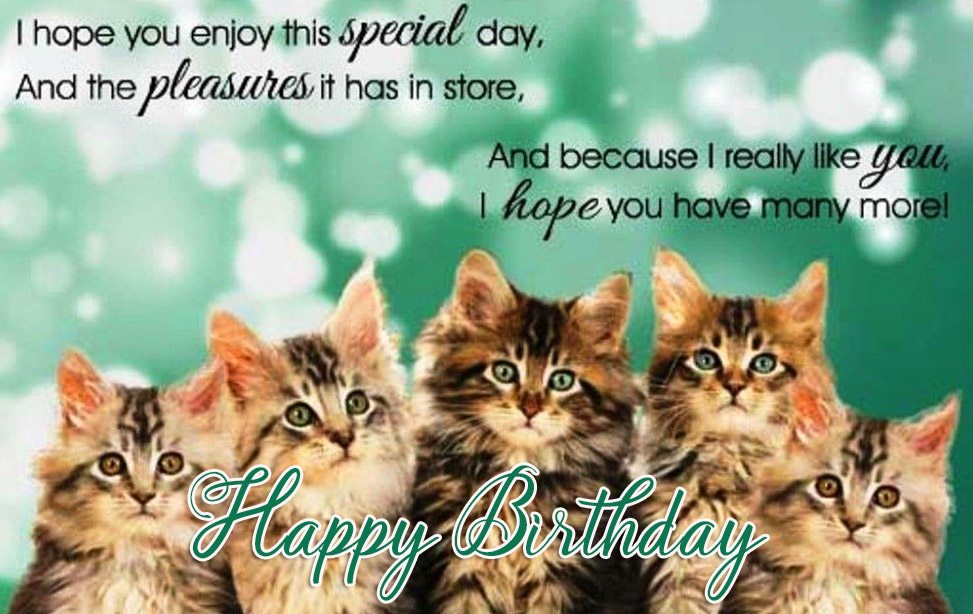 Birthday Wishes with Cats