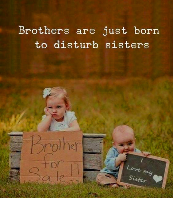 Brothers Day Wishes Quotes