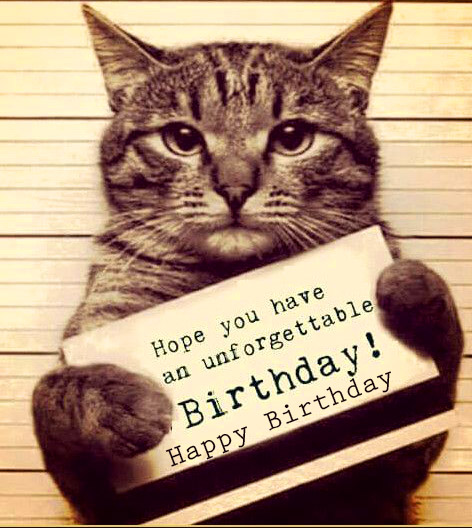 Cat Cute Happy Birthday Image