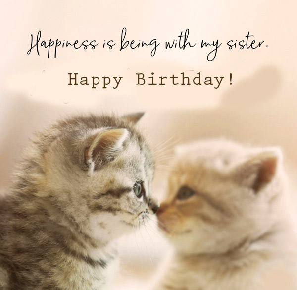 Cat Lover Happy Birthday Image