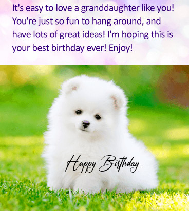 Cute Cat Happy Birthday Message Picture