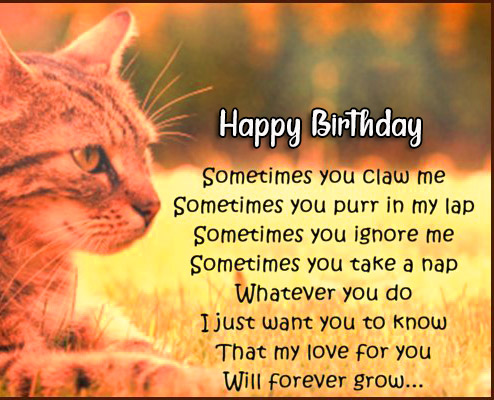 Cute Cat Happy Birthday Quotes