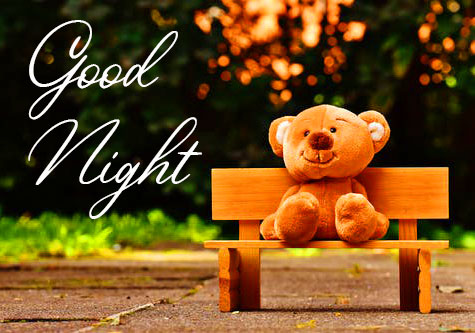 Cute Teddy Bear with Good Night