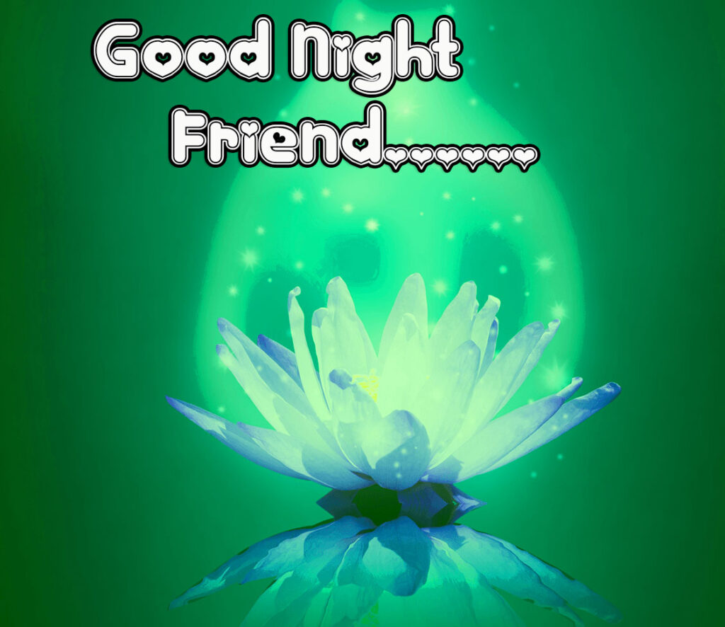 Flowers with Good Night Wish