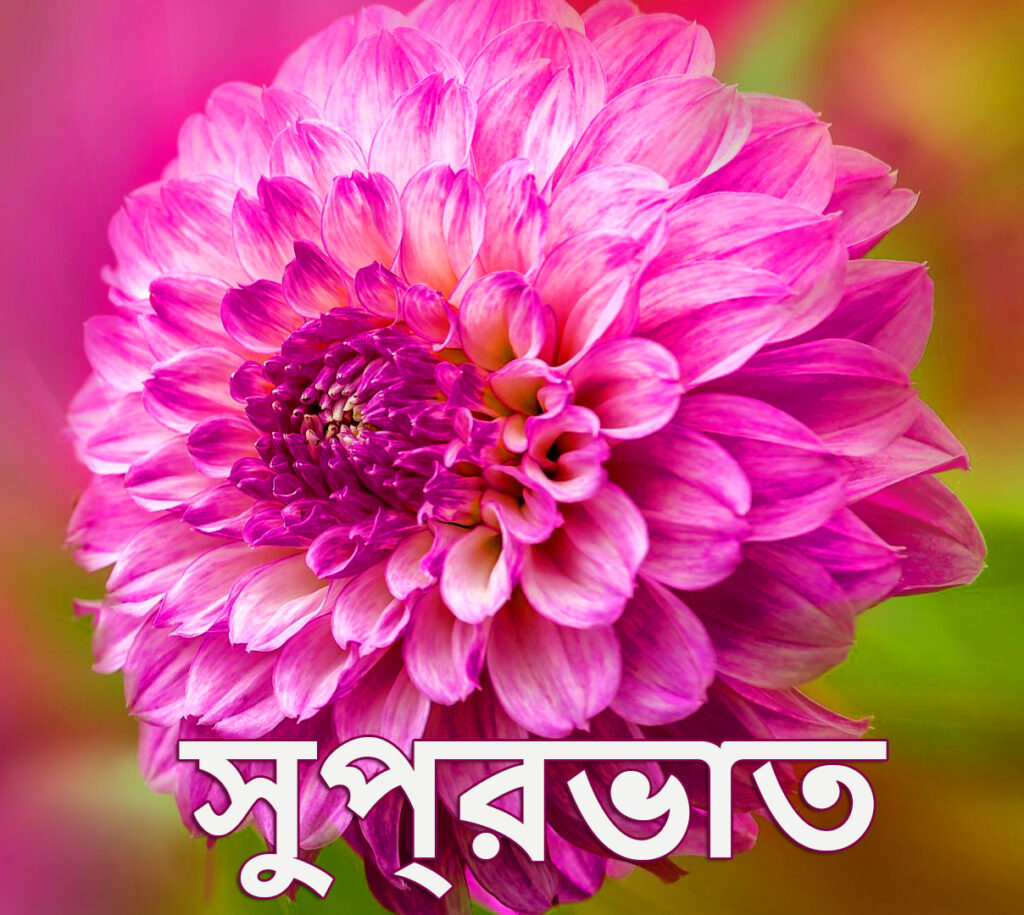 Good Morning Bengali Photo