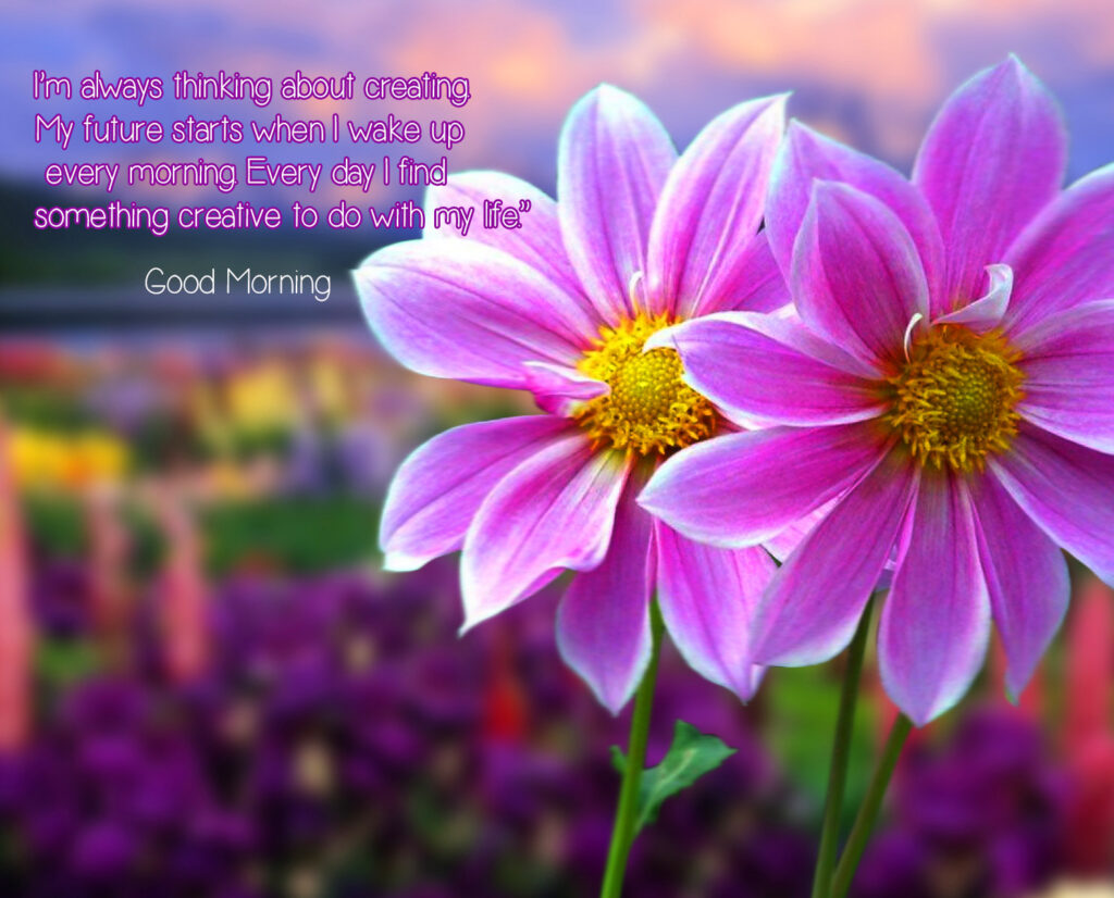 Good Morning Flower Quotes
