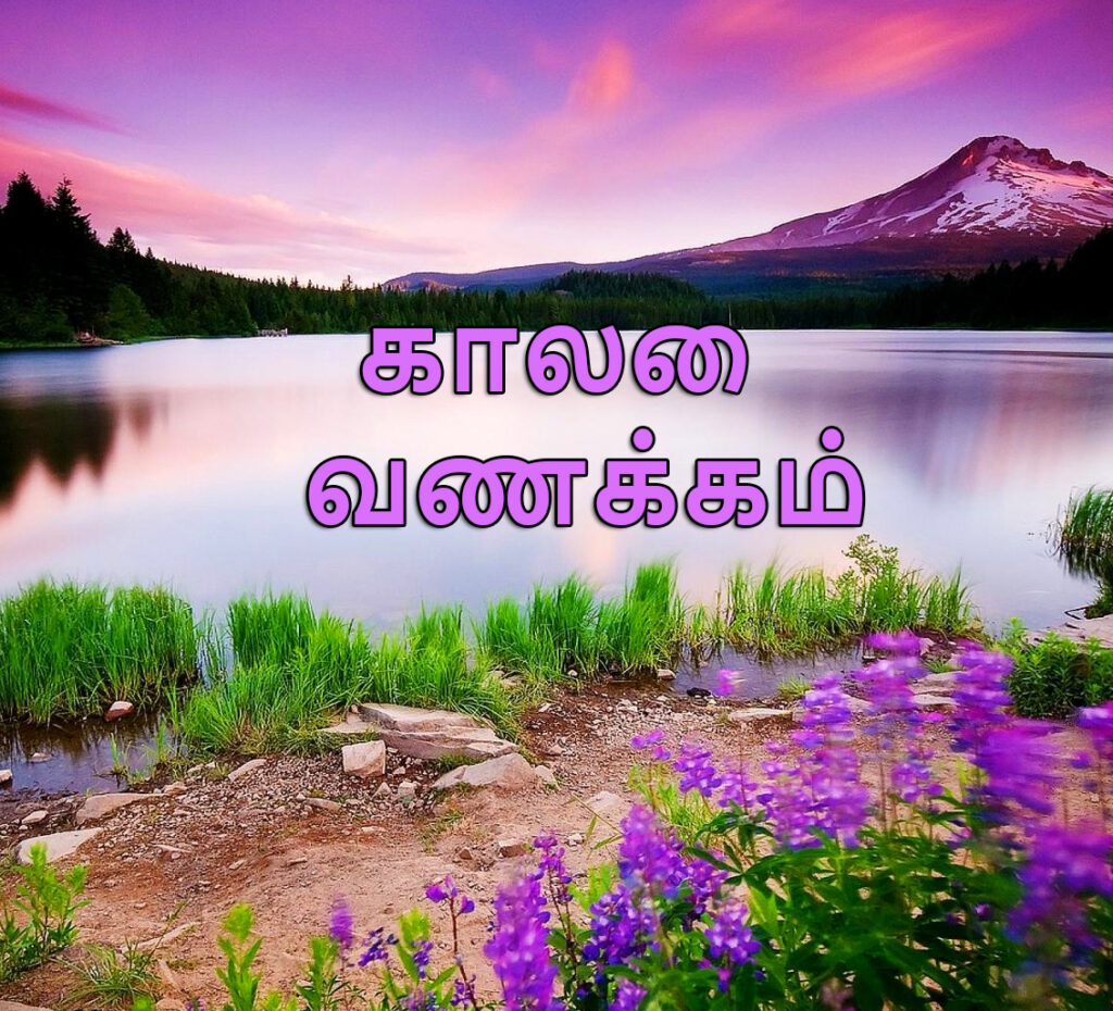 Good Morning Images for WhatsApp in Tamil