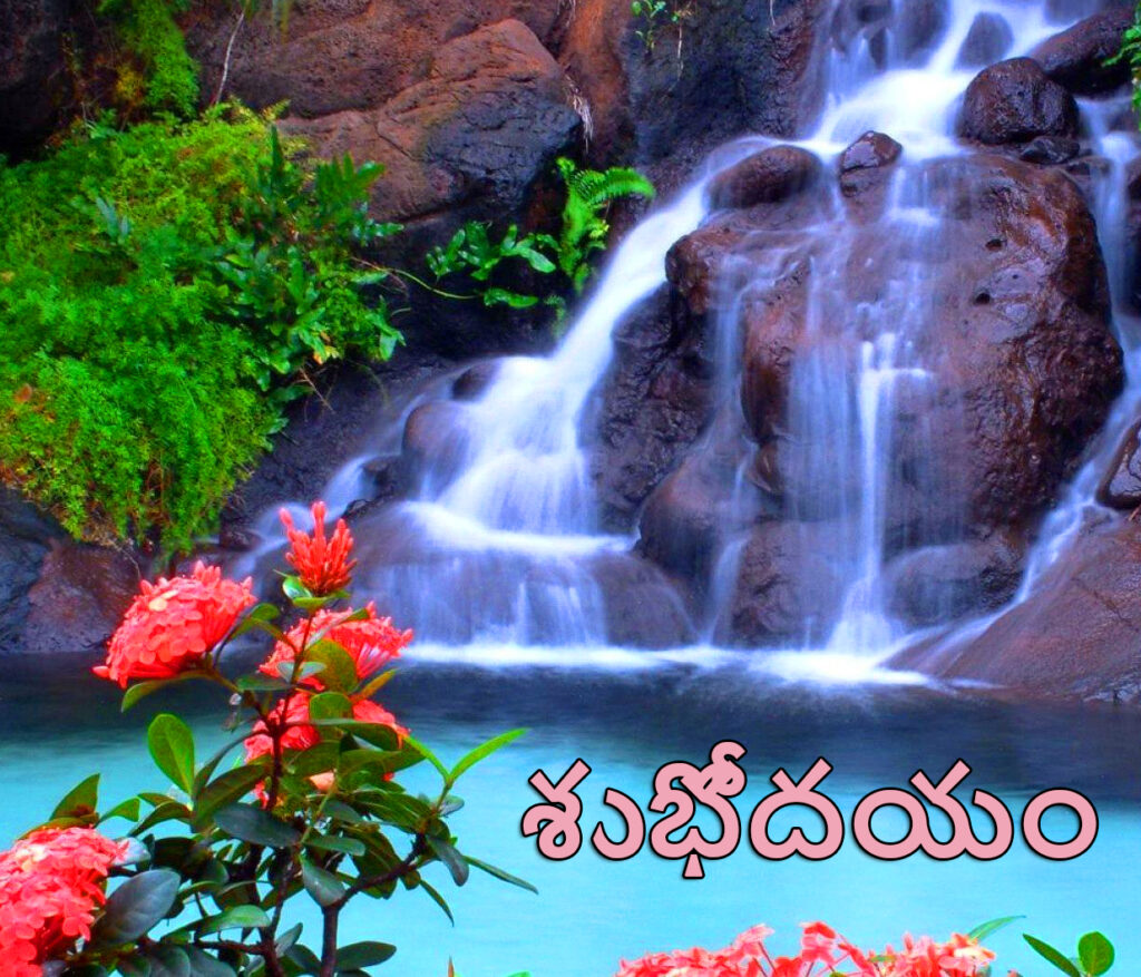 Good Morning Message in Telugu