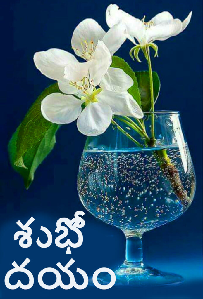 Good Morning Quotes Inspirational in Telugu