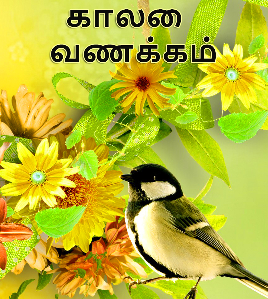 Good Morning Quotes in Tamil with Pictures