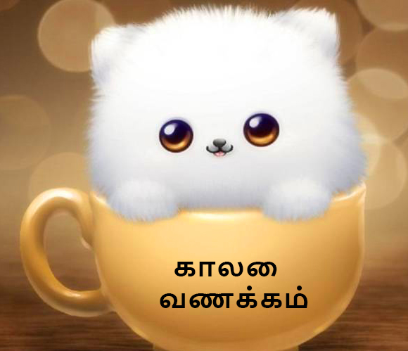 Good Morning Wishes in Tamil