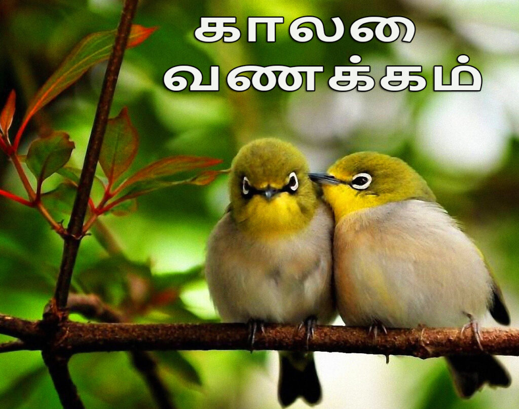 Good Morning in Tamil Messages