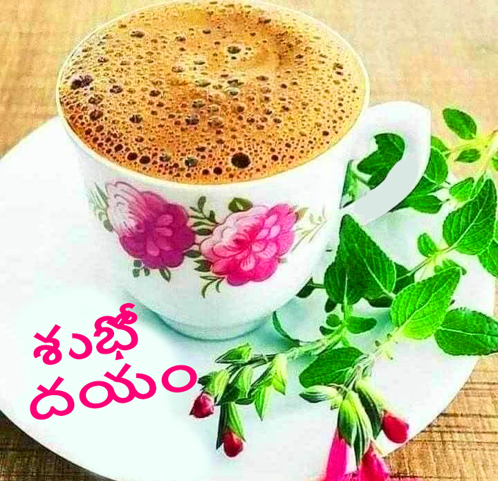 Good Morning with Quotes in Telugu