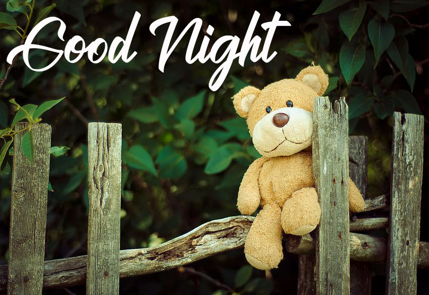 Good Night Hug Teddy