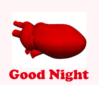Good Night Love Wish