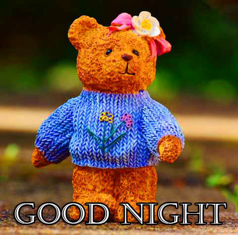 Good Night Image Teddy