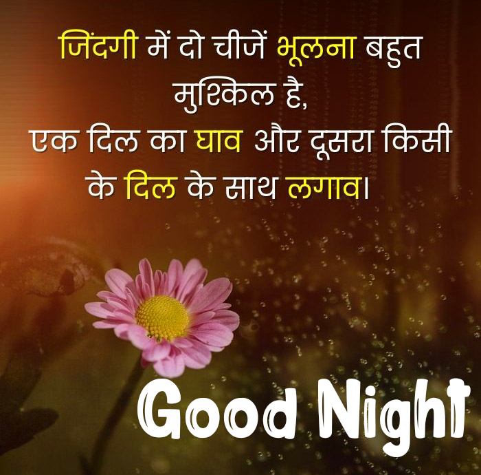 Good Night Image with Quotes in Hindi