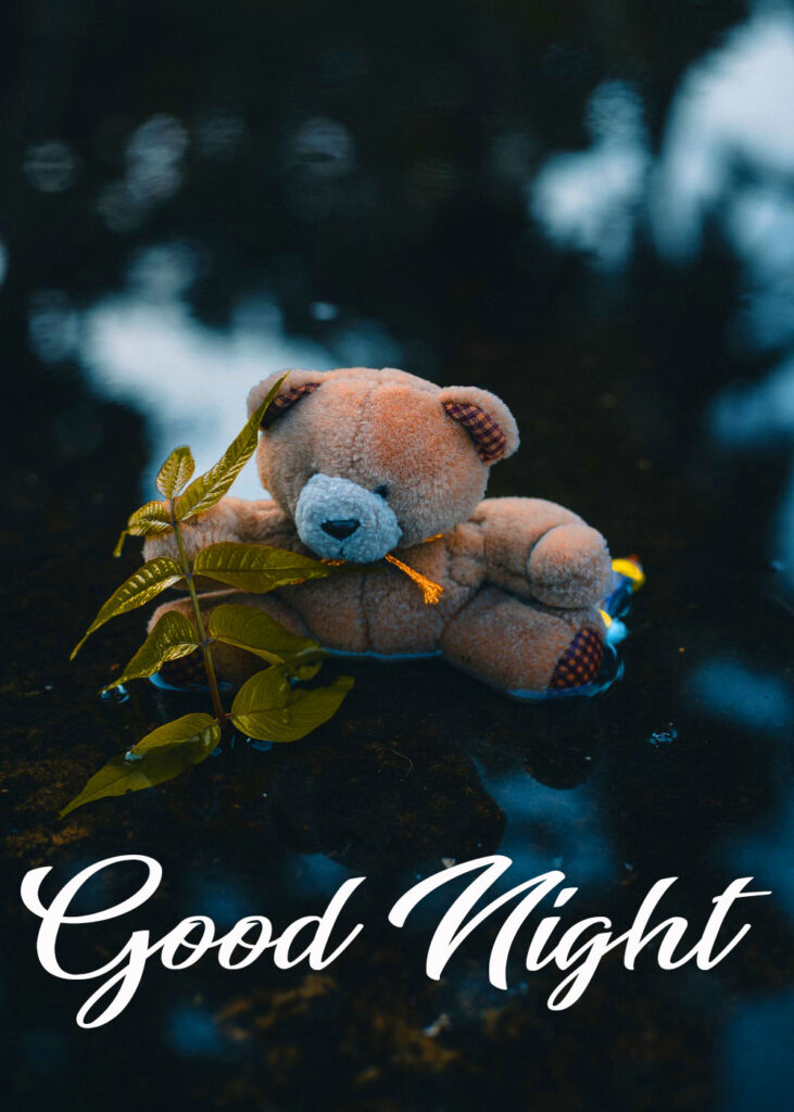 Good Night Images Teddy