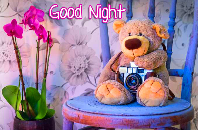 Good Night Teddy Bear Photos