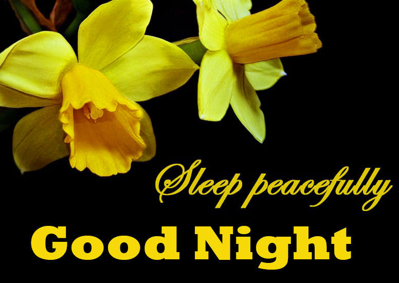 Good Night Wishes Flowers