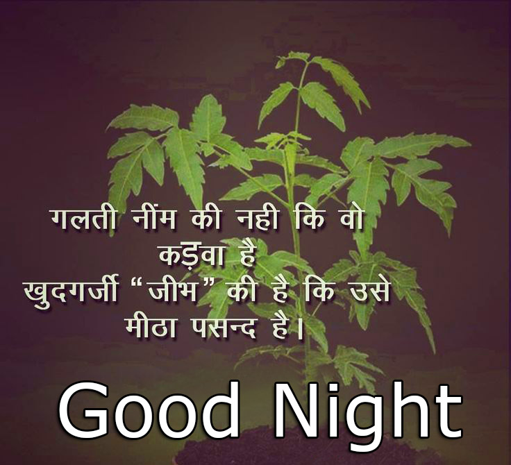 Good Night in Hindi Quotes