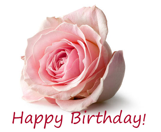 Happy Birthday Beautiful Rose Picture