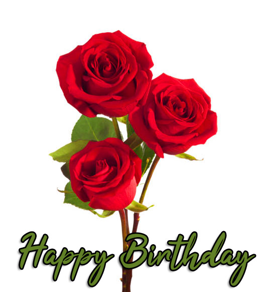 Happy Birthday Red Roses Image