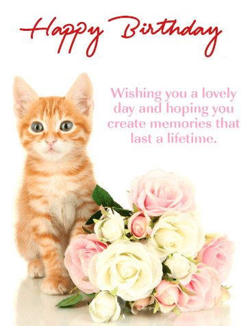 Happy Birthday Sweet Cat Message
