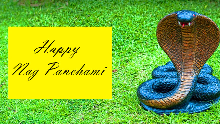 Happy Naag Panchami Best Wishes Image