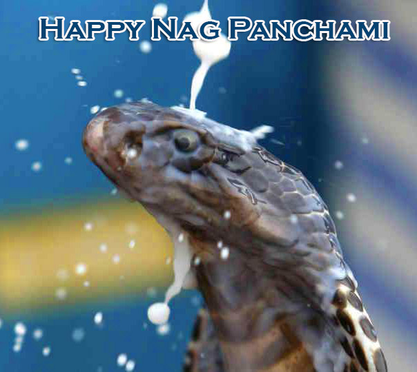 Happy Nag Panchami Wishes