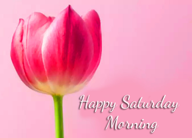 Happy Saturday Flowers Images