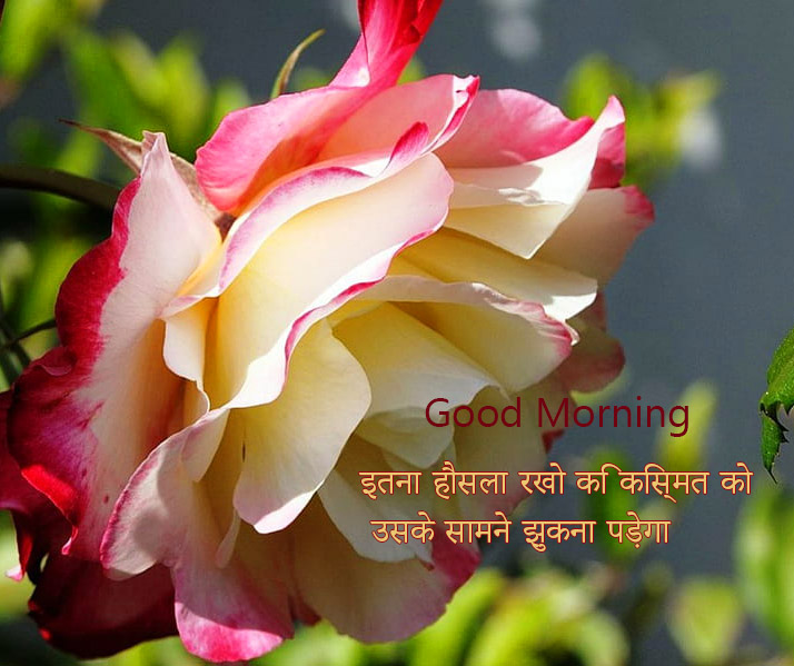 Hindi Suvichar Good Morning Hindi Quotes