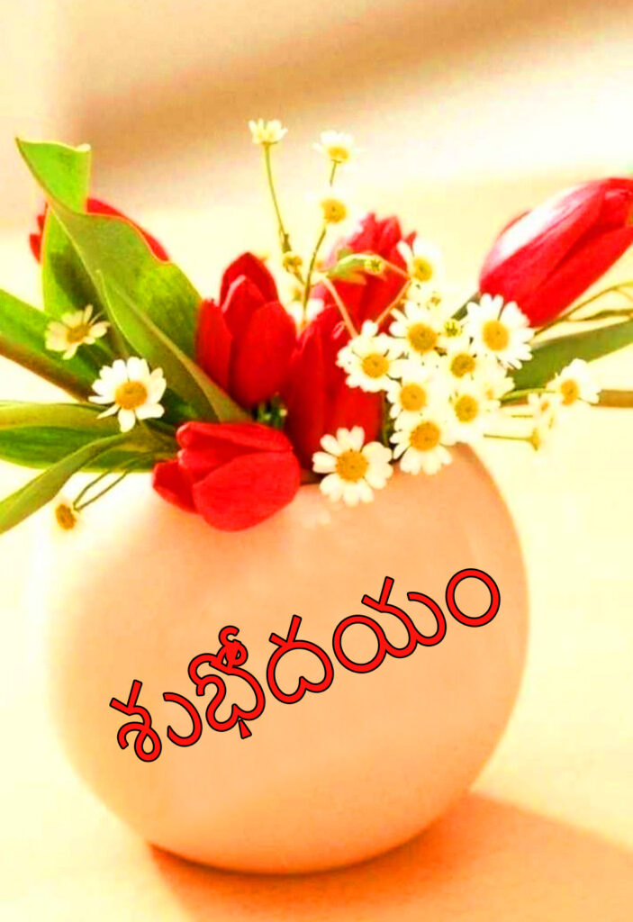 Inspirational Good Morning Quotes in Telugu