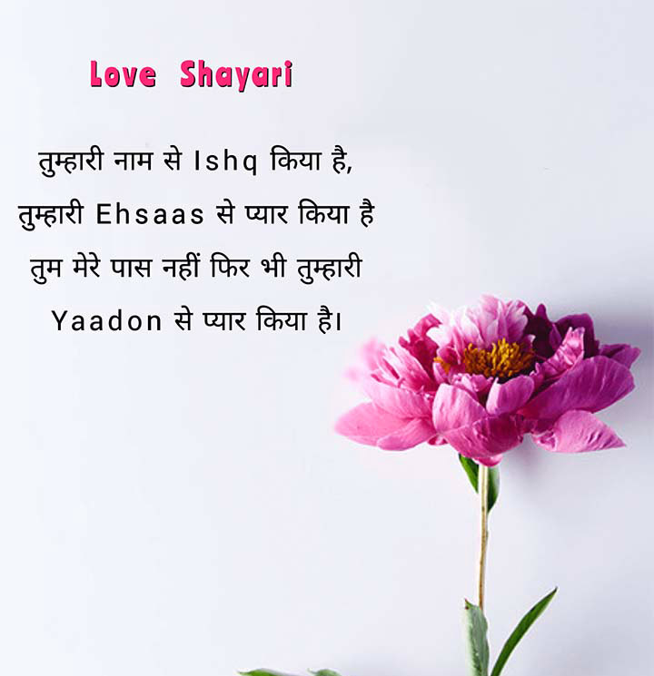 Love  Hindi Shayari