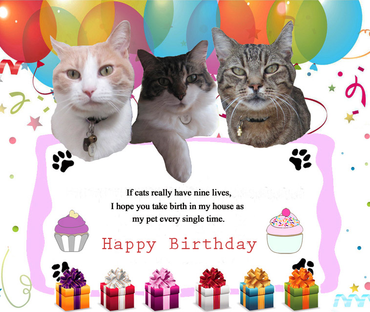Pet Happy Birthday Message