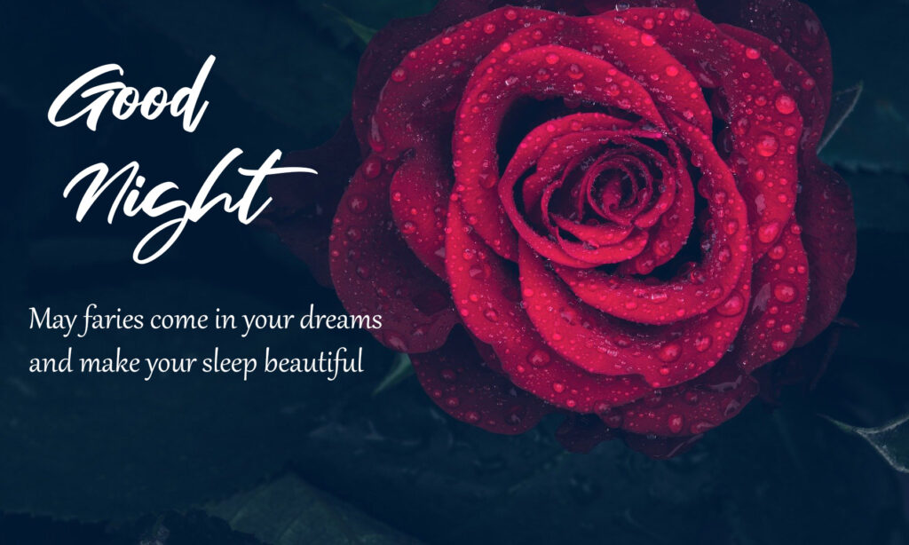 Romantic Good Night Quotes for Someone Special