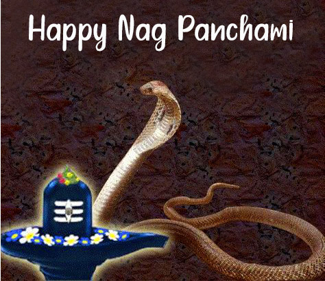 Shiv Ji Happy Naag Panchami Wallpaper