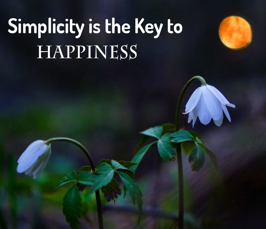 Simplicity is the Key to Happiness