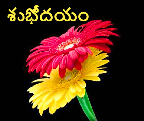 Success Good Morning Quotes in Telugu