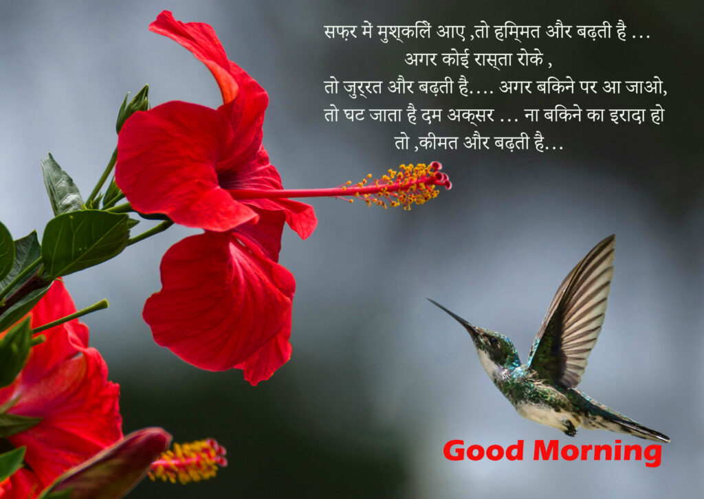 Suvichar Good Morning Shayari