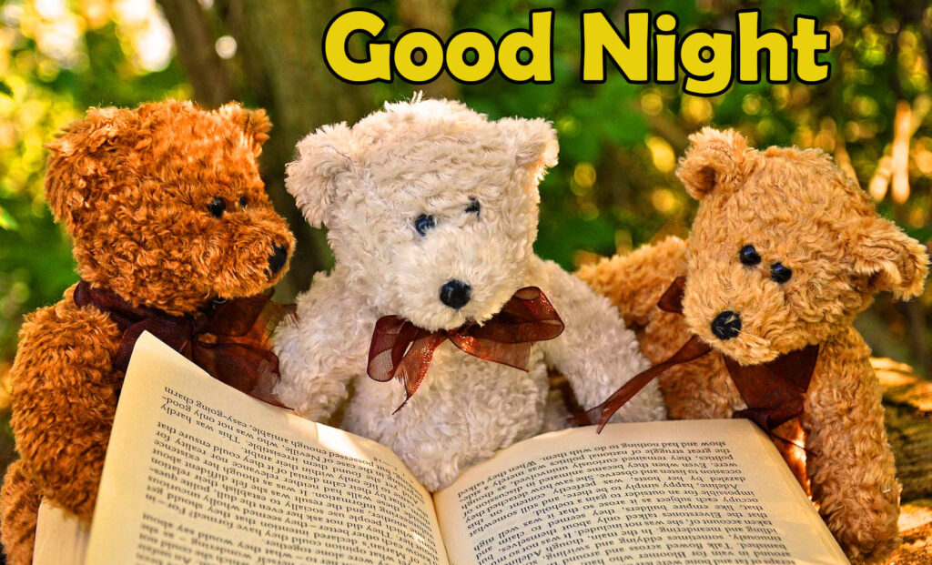 Teddy Good Night Images