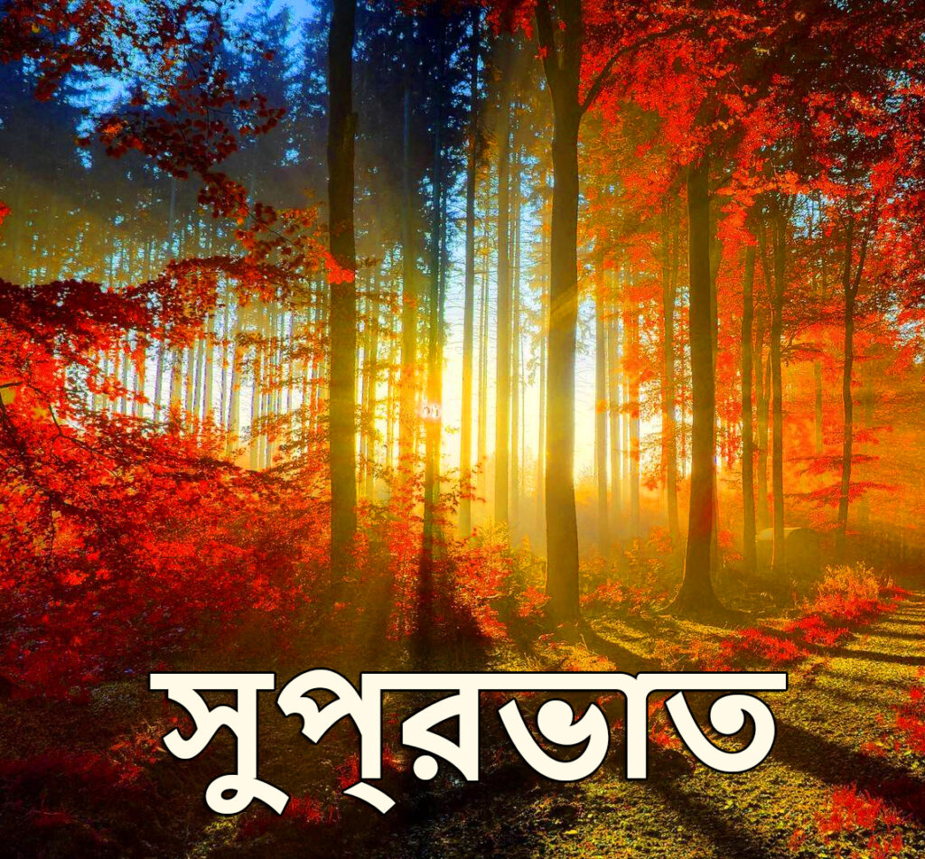 Whatsapp Bengali Good Morning Message